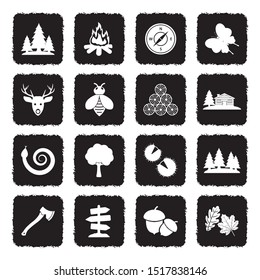 Forest Icons. Grunge Black Flat Design. Vector Illustration.