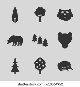 Forest icons set. set of 9 forest filled icons such as tree, pine tree, bear