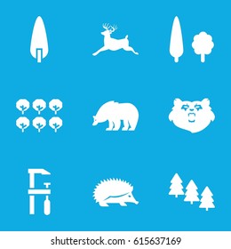 Forest icons set. set of 9 forest filled icons such as tree, pine tree, bear, hedgehog, deer, chainsaw