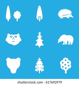Forest icons set. set of 9 forest filled icons such as tree, bear, hedgehog, pine-tree