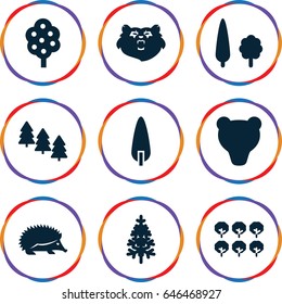 Forest icons set. set of 9 forest filled icons such as tree, pine tree, bear, hedgehog