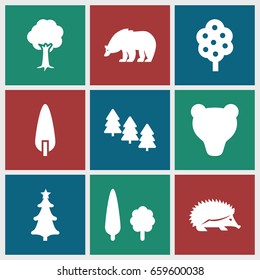 Forest icons set. set of 9 forest filled icons such as tree, pine tree, bear