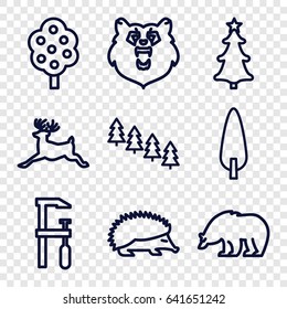 Forest icons set. set of 9 forest outline icons such as bear, hedgehog, deer, tree, pine tree