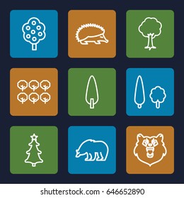 Forest icons set. set of 9 forest outline icons such as bear, hedgehog, tree, pine-tree