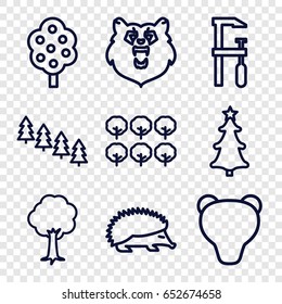 Forest icons set. set of 9 forest outline icons such as bear, hedgehog, tree, pine tree, chainsaw