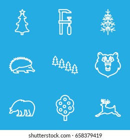 Forest icons set. set of 9 forest outline icons such as bear, hedgehog, deer, tree, pine tree