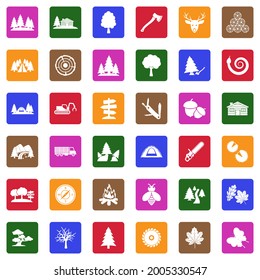 Forest Icons. White Flat Collection In Square. Vector Illustration.