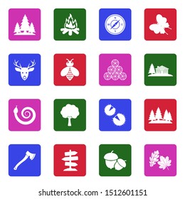 Forest Icons. White Flat Design In Square. Vector Illustration.