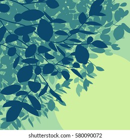 Forest jungle foliage leaves background with sunset vector