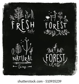 Forest labels lettering fresh air, club, natural time drawing with chalk on blackboard background