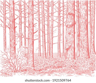 Forest landscape. Art detailed editable illustration. Vector vintage engraving. Isolated on white background. 8 EPS