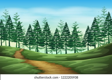 Forest landscape background scene illustration