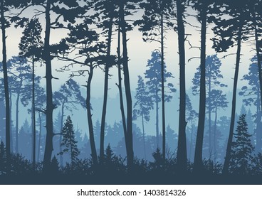 Forest landscape background. Trees pines at dawn. Nature.  Tourism and travelling. Coniferous forest, vector silhouette