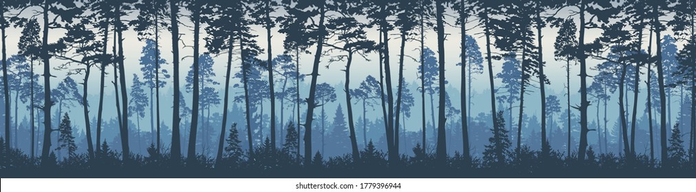 Forest Landscape Background. Trees Pines At Dawn. Nature.  Tourism And Travelling. Coniferous Forest, Vector Silhouette. Web-banner With Plants.
