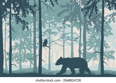 Paisaje forestal. Oso en el bosque mágico de niebla. Búho en la rama. Silhouettes de árboles y animales. Fondo azul, ilustración. 
