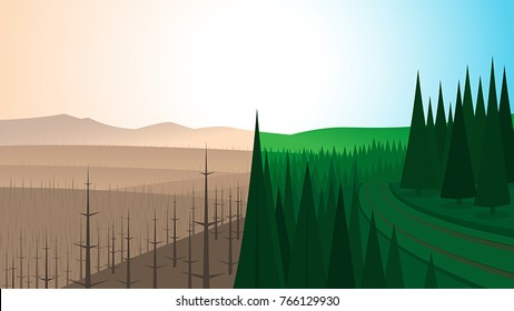 Forest Landscape Before and After Fire