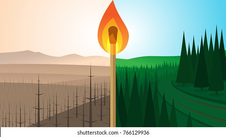 Forest Landscape Before and After Fire