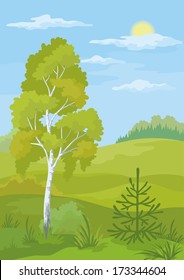 Forest landscape with birch, fir tree and blue sky. Vector