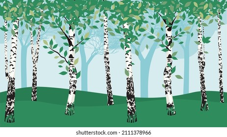 Paisaje forestal con abedules con ilustraciones de hojas verdes. 