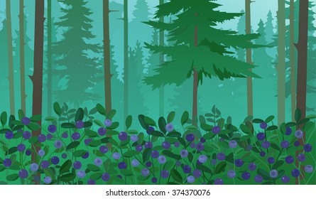  Forest Landscape With Blueberries