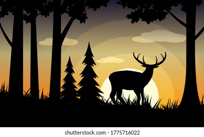 Forest landscape with deer with sunset