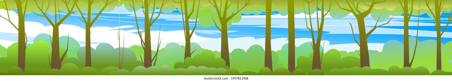 Paisaje forestal. Árboles salvajes densos con troncos altos y ramificados. Panorama. Paisaje verde veraniego. Diseño plano. Estilo de caricatura. Vector