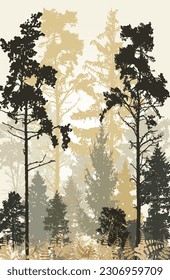 Forest landscape during the day. Vector illustration of a pine forest in daylight. Sketch for creativity.