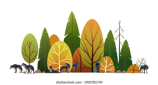 Forest Landscape, Green Trees Park, Alley And Foliage In Summer. Row Of Trees And Shrubs. Cartoon Vector Illustration Isolated On White Background.