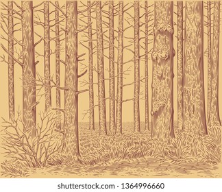 Forest landscape. Hand drawn engraving. Editable vector vintage illustration. 8 EPS