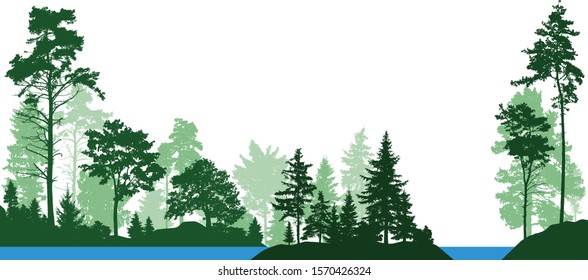 Forest landscape from isolated trees. Forest river. Vector illustration