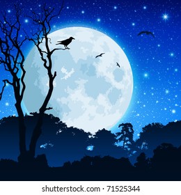 Forest Landscape Moon Night Sky Stock Vector (Royalty Free) 71525344 ...