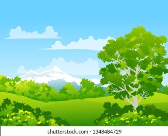 forest landscape with mountain