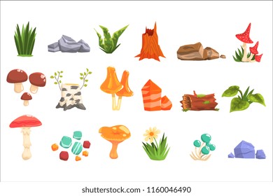 Forest Landscape Natural Elements, Plants And Mushrooms