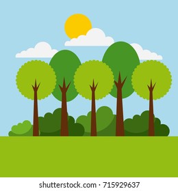 forest landscape natural mountain tree cloud sun