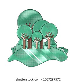 forest landscape natural scene