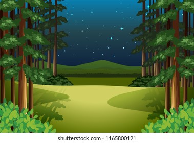 A forest landscape at night illustration