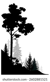 Forest landscape, pine tree silhouettes. Vector illustration.