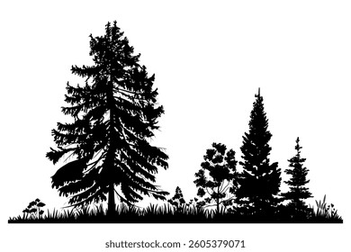 Forest landscape, pine tree silhouettes. Vector illustration.	
