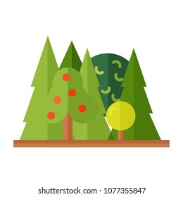 Forest landscape with pines, bushes in flat style without outline. Nature scenery. Vector illustration. Wildness nature for camping and tourism.
