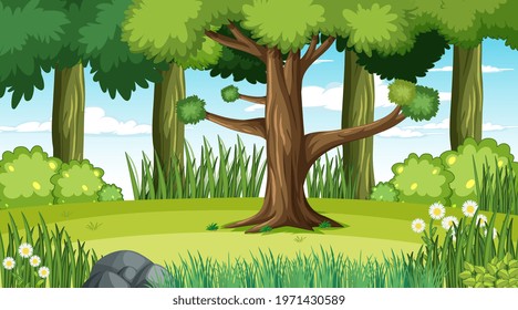Forest landscape scene at day time illustration