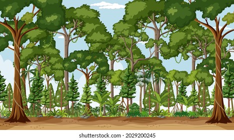 Forest landscape scene at day time with many trees illustration