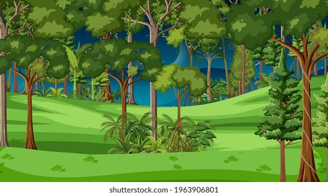 Forest landscape scene at night with many trees illustration