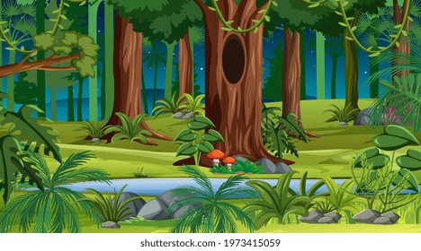 Forest landscape scene at night with many different trees illustration