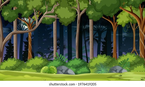 Forest landscape scene at night with many trees illustration