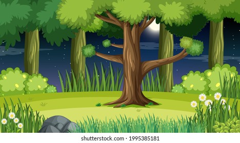 Escena del paisaje forestal de noche con muchas ilustraciones arbóreas
