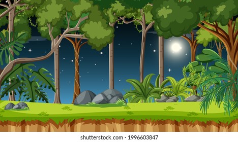 Forest landscape scene at night with many different trees illustration