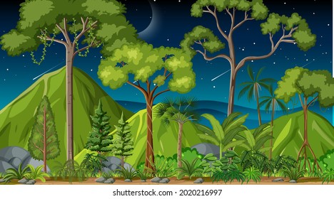 Escena del paisaje forestal de noche con muchas ilustraciones arbóreas diferentes