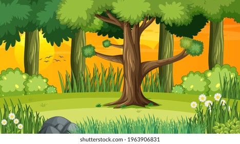 Forest landscape scene at sunset time illustration