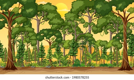 Forest landscape scene at sunset time illustration