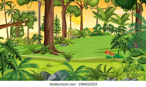 Forest landscape scene at sunset time with many different trees illustration